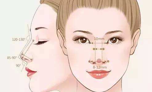 鼻子的美学标准是什么?